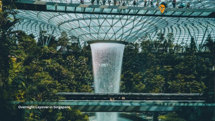 Overnight Layover in Singapore
