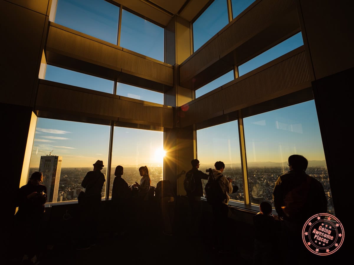 people looking out an observation deck in tokyo