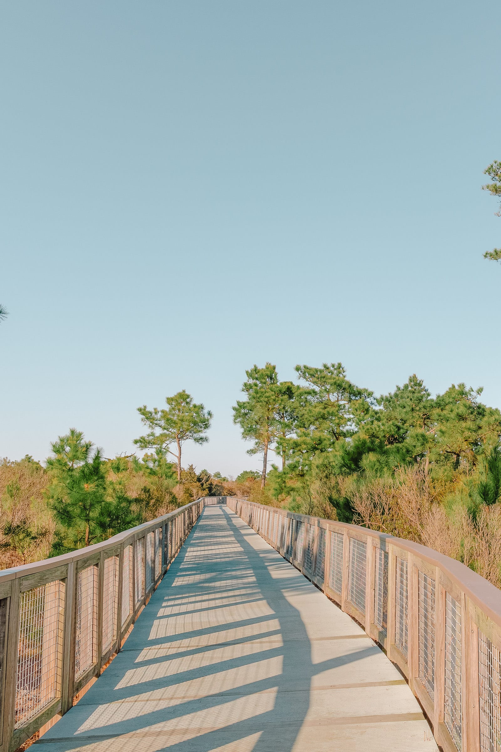 Best Things To Do In Delaware This Year Cape Henlopen State Park