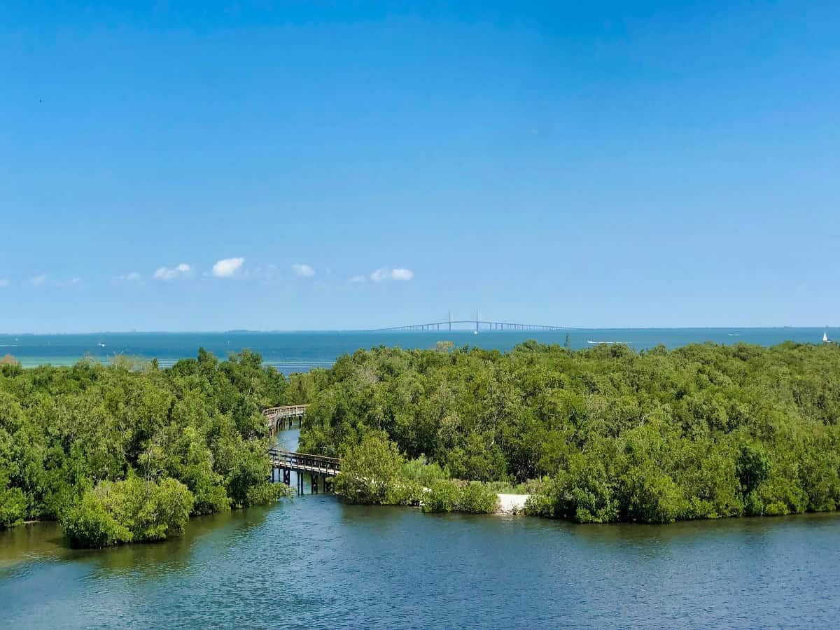 aerial view over robinson preserve tower with bridge in ocean in the background