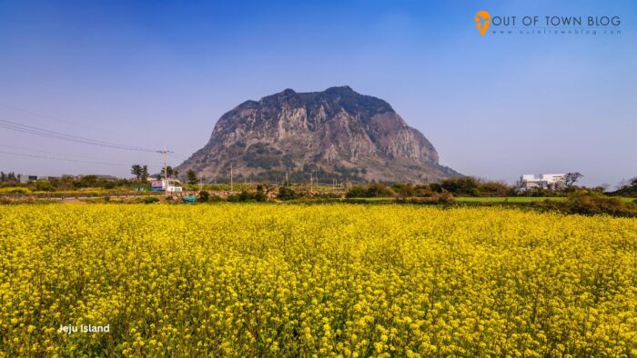 Jeju Island