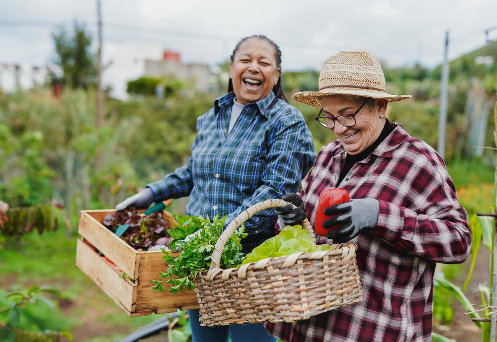 Happy,Multiracial,Senior,Women,Having,Fun,During,Harvest,Period,In