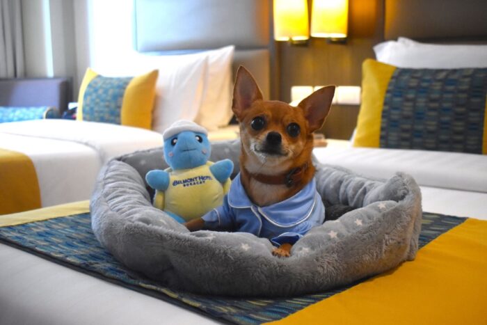 Fur-babies are welcome at Belmont Hotel Boracay