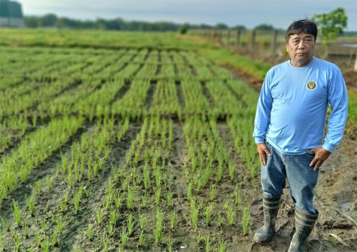 Kalasag Multipurpose Cooperative board chair Arnold Dizon at his farm