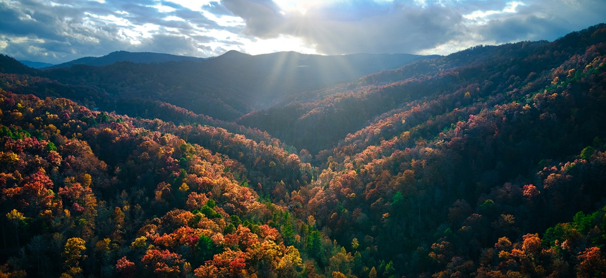 Are We Drawn to the Outdoors or Do We Choose It?