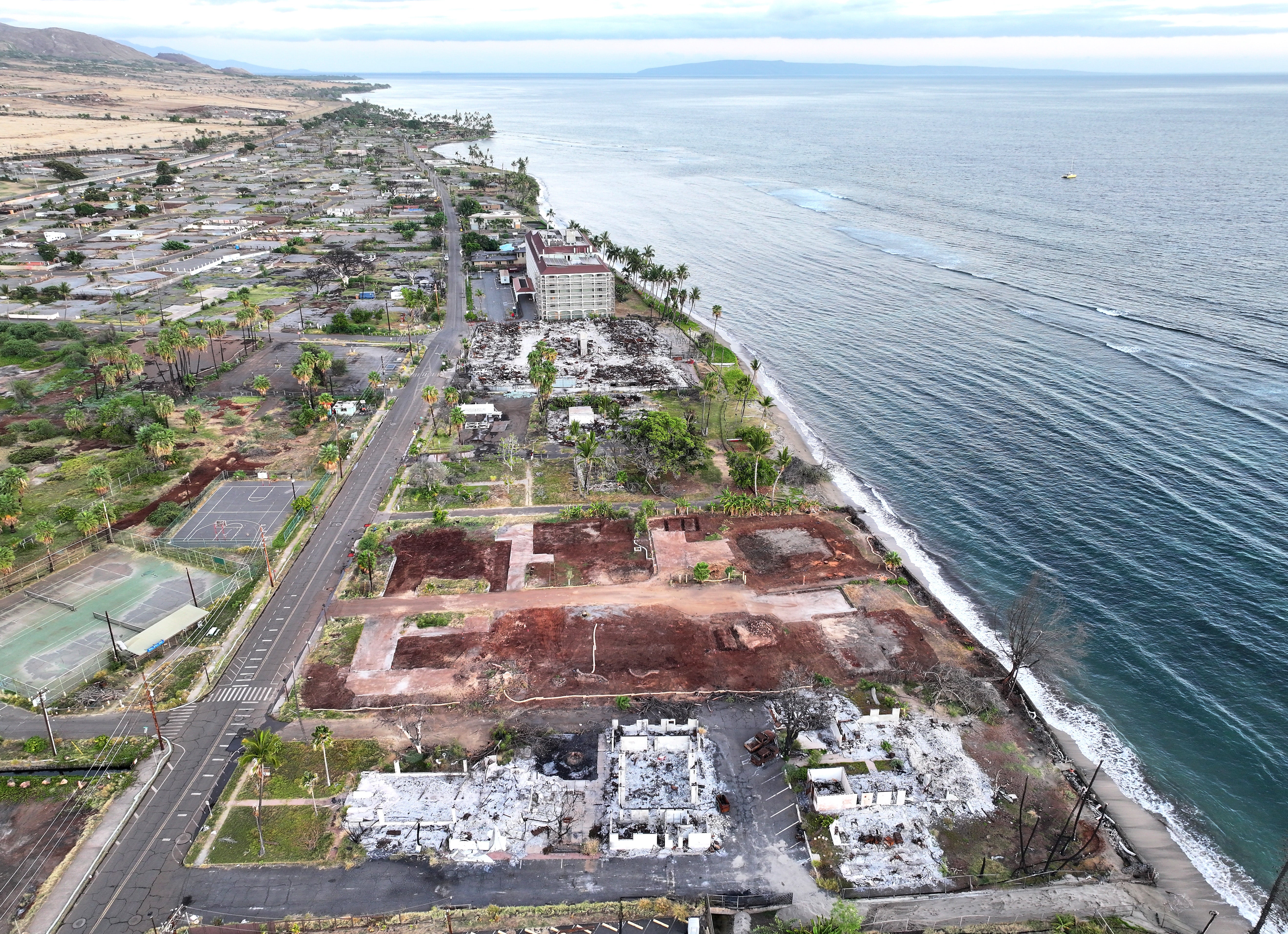 An aerial view of destroyed and cleared properties with vegetation regrowth on year after the Lahaina wildfire on August 6, 2024 in Lahaina, Hawaii