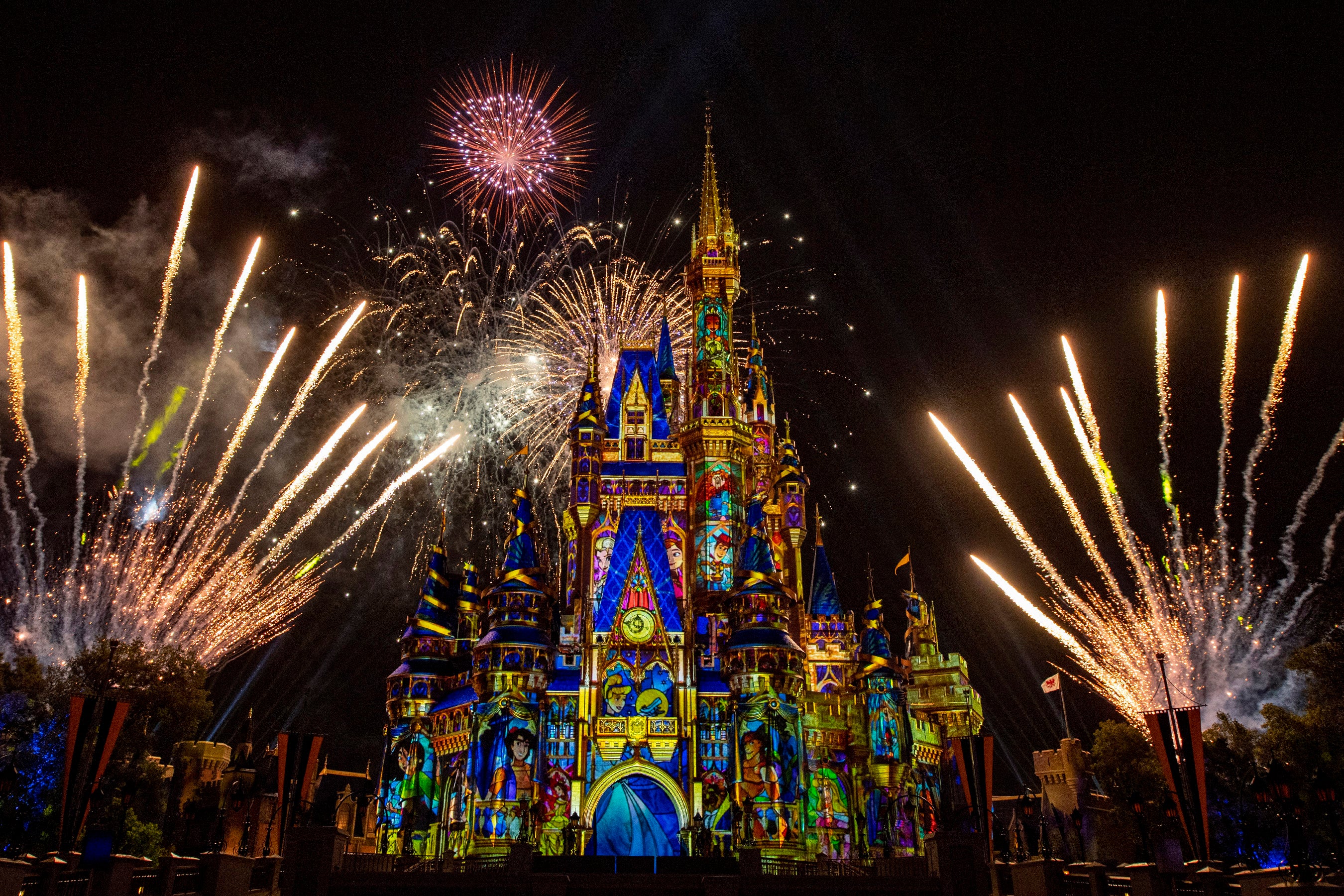 Mouse Counselors and Pixie Vacations are two firms that can help plan a VIP-style Disney trip