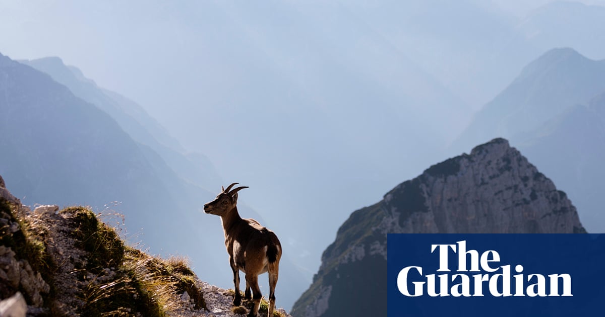 ‘If you love adventure but not tourists’: readers’ favourite wild places in Europe | Europe holidays