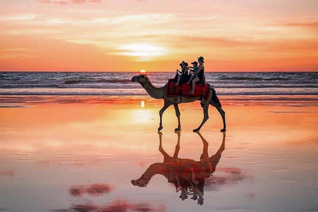 Riding A Camel On Cable Beach Broome