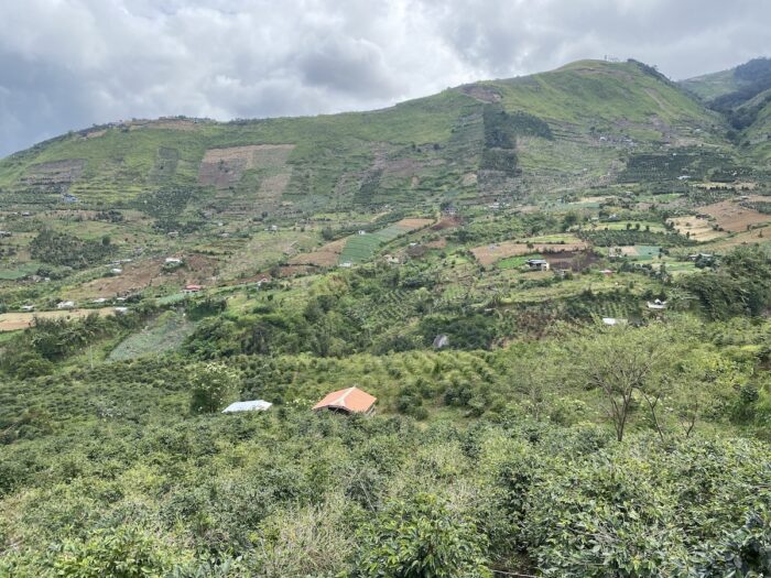 Dubria Coffee Farm at the foot of Mt. Apo