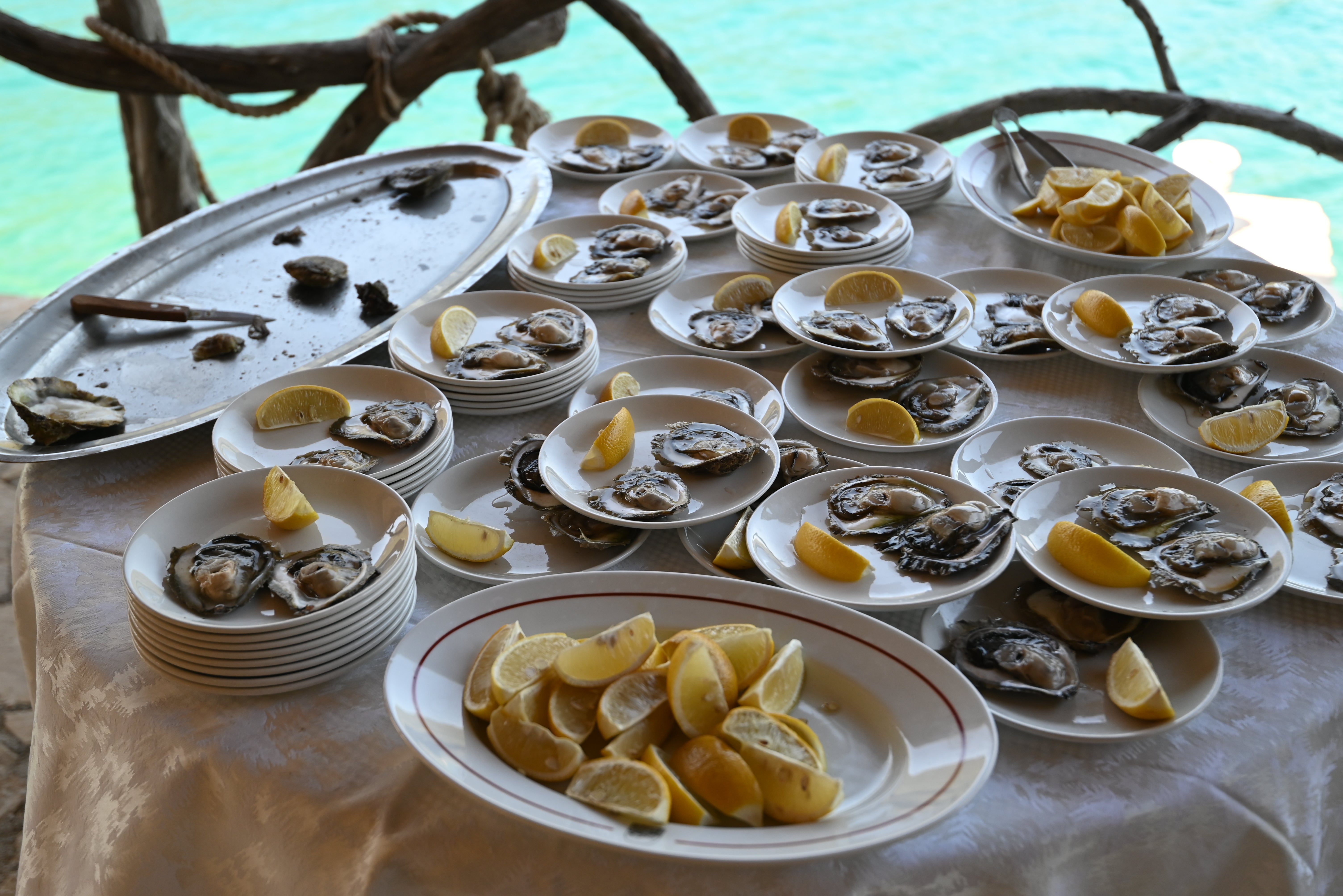 Mary enjoyed oysters after sailing over to Banja islet, Croatia