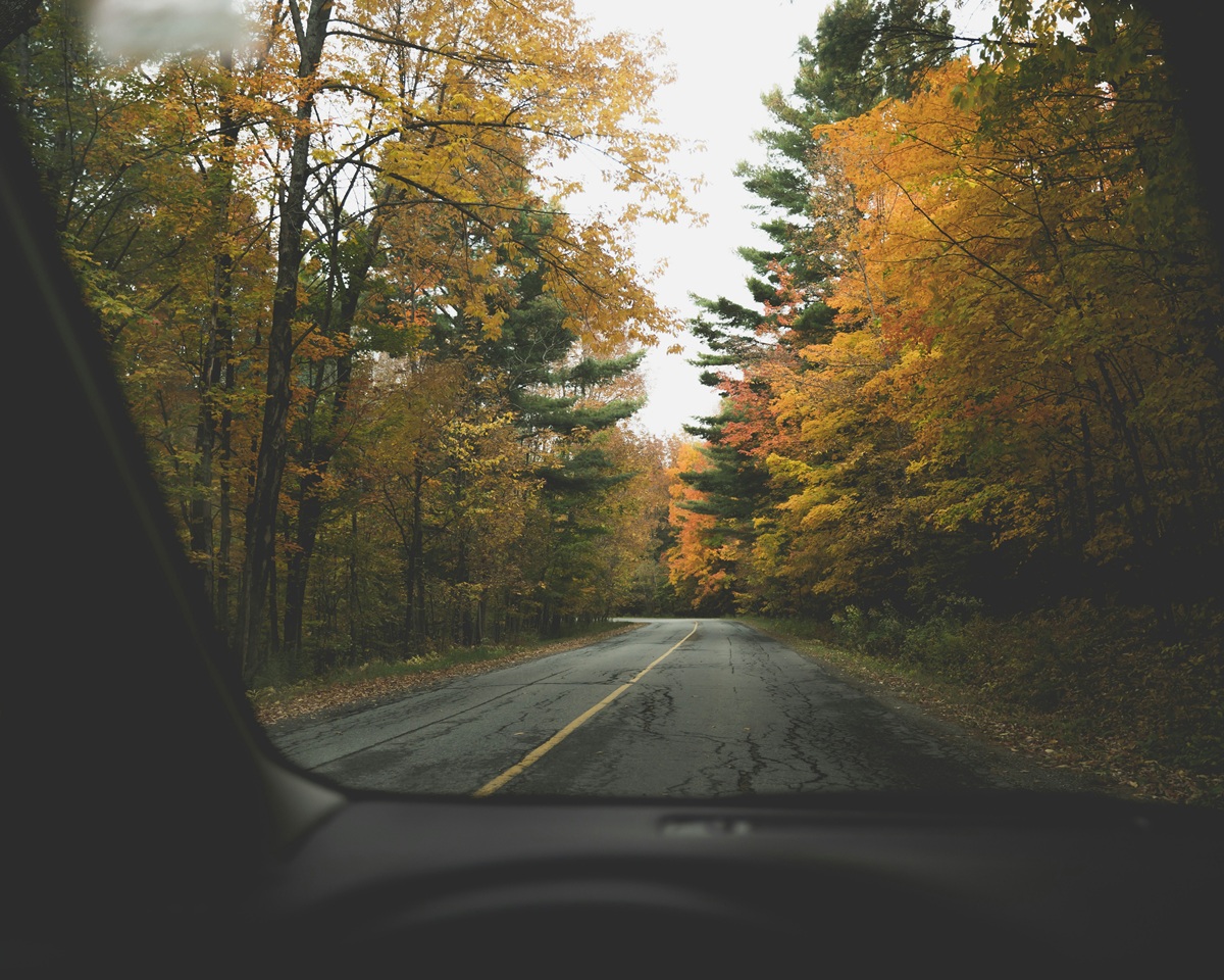 Unforgettable Family Travel Adventures in Fall