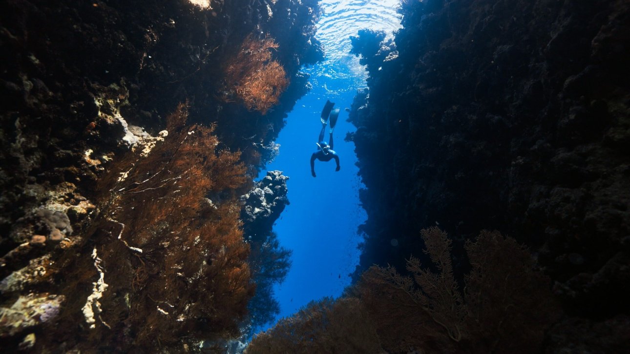 Photo: NEOM / Unsplash