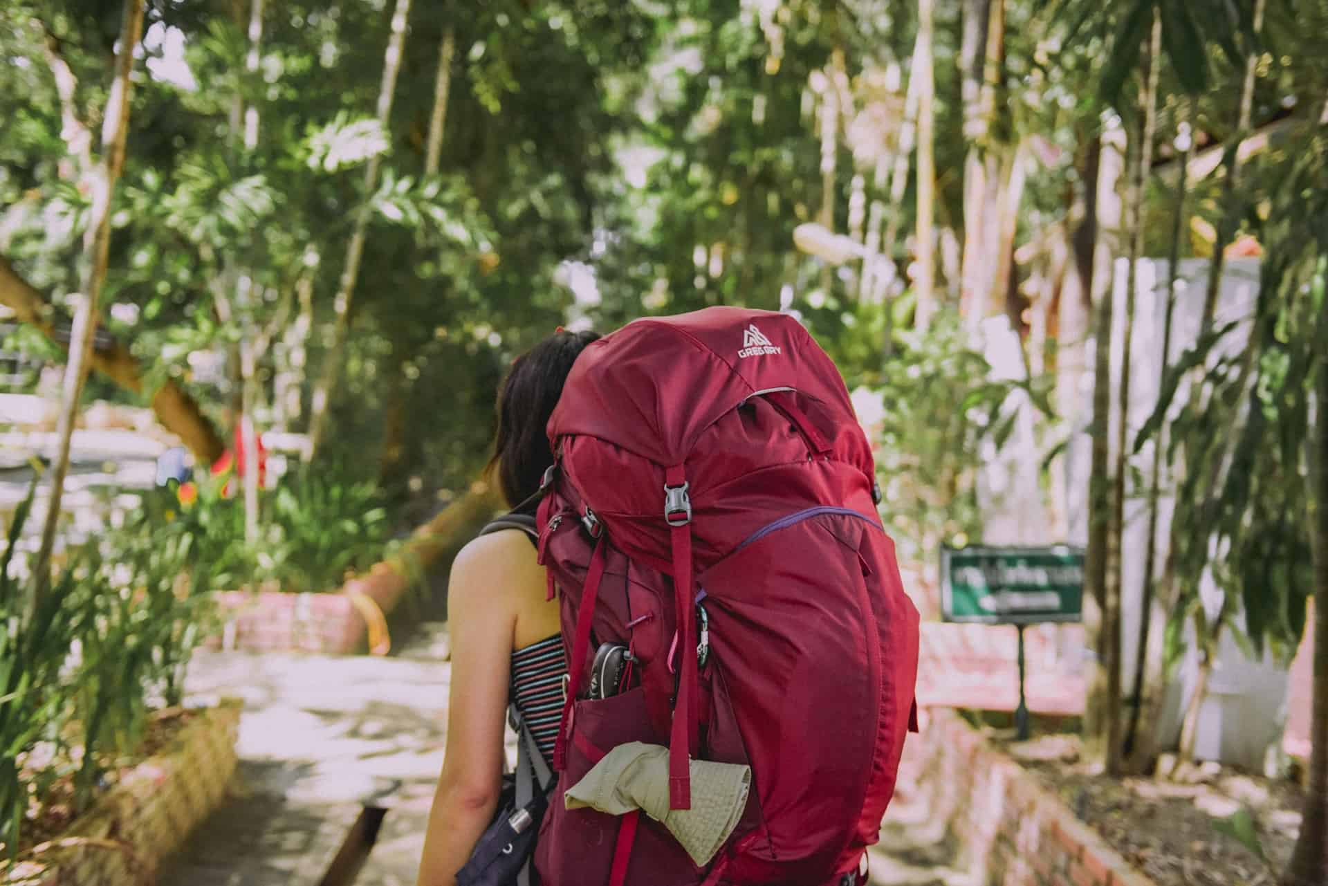 Backpacker (photo: Suhyeon Choi, Unsplash).