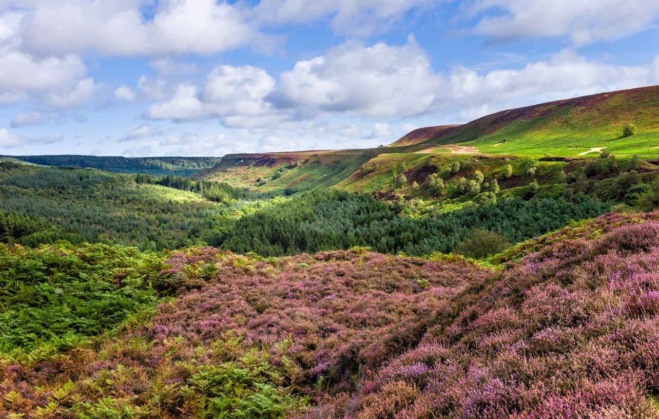 Get to know the North York Moors this December